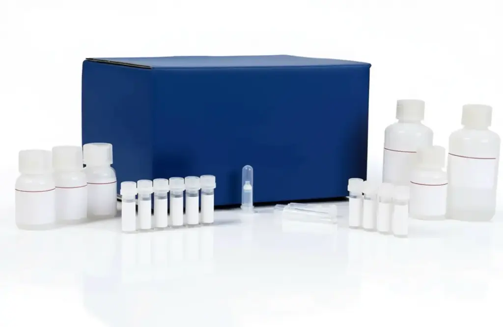  PEPCK Assay Kit (Phosphoenolpyruvate Carboxykinase)