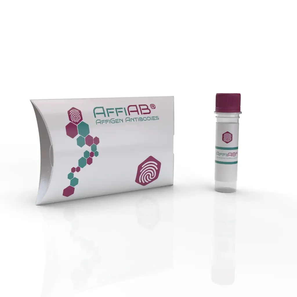 KEAP1 antibody - 100µg