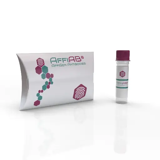 [BF0005] MMP2 antibody - 100µg