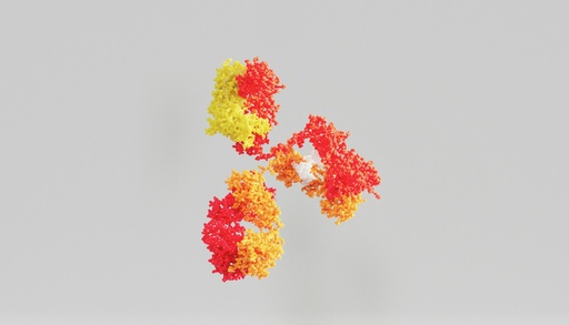 [BF0412] p44/42 MAPK  (Erk1/2)  antibody - 100µg