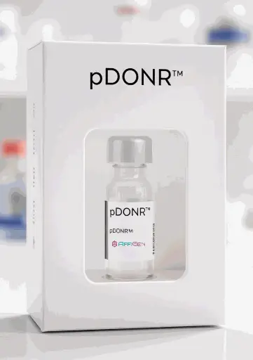 [PVTB01076-1] pDONR223-FYB Plasmid - 2ug
