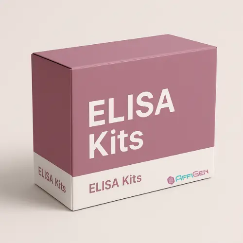 [CELI-66006p] Porcine Lipoxin B4, LXB4 ELISA Kit - 96tests
