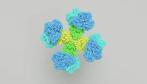 [ABF0705] FOXL1 Antibody - 100µg