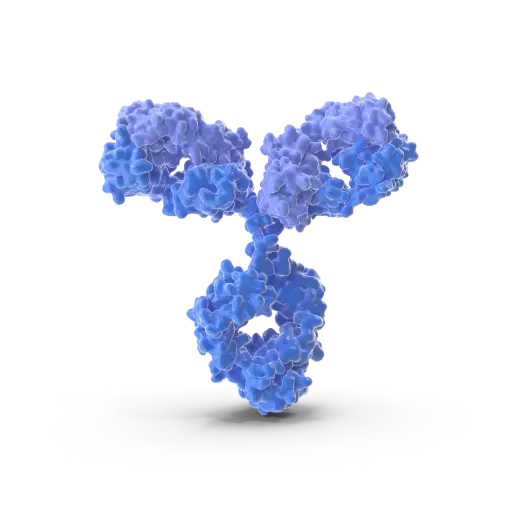 [ABD6424] NOS1 Antibody - 100µg